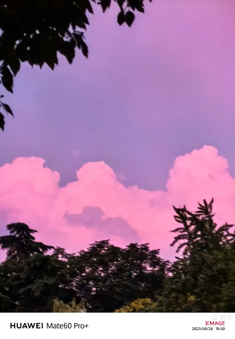 淡紫色和粉色的云朵在空中飘浮,像是被风吹散的花瓣,轻盈而美丽